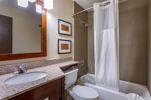 Comfort Inn Nashville West - image 20