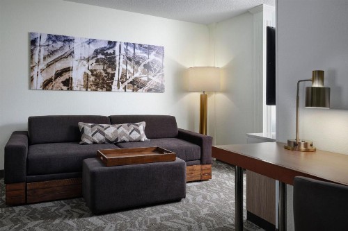 SpringHill Suites Nashville MetroCenter - image 36