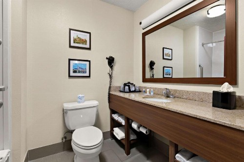 Comfort Suites Nashville - image 11