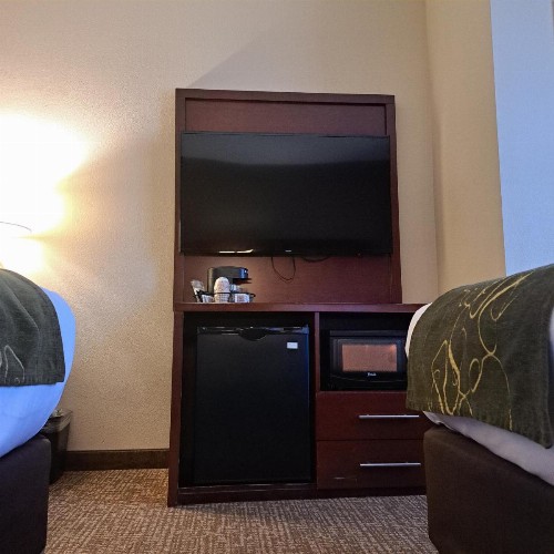 Comfort Suites Nashville - image 38