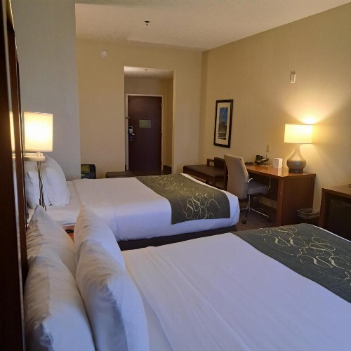 Comfort Suites Nashville - image 41