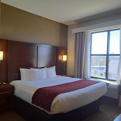 Comfort Suites Nashville - image 42