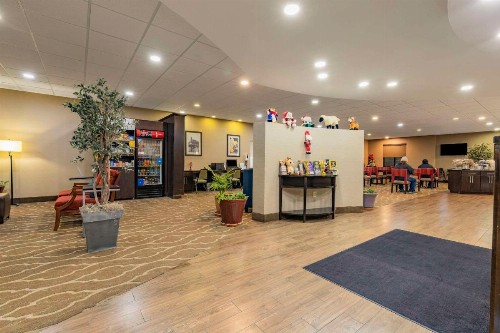 Comfort Suites Nashville - image 8