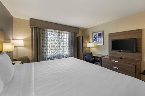 Best Western Plus Nashville Airport Hotel - BNA - image 12