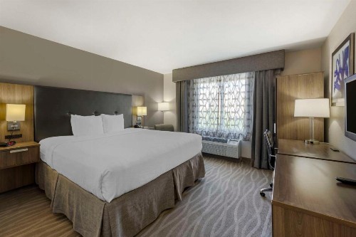 Best Western Plus Nashville Airport Hotel - BNA - image 4