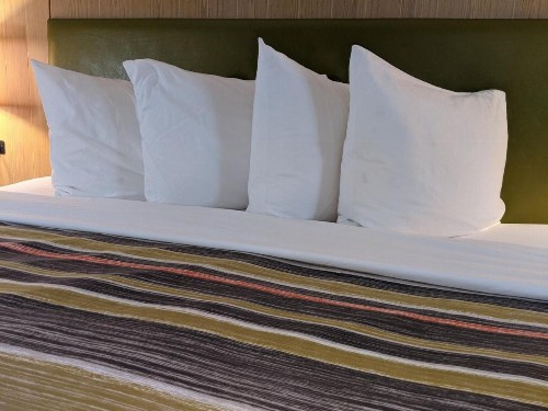 Country Inn & Suites by Radisson Nashville TN - image 18