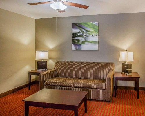 Quality Suites Nashville Airport - image 12