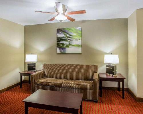 Quality Suites Nashville Airport - image 15