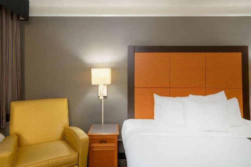 La Quinta Inn by Wyndham Nashville South - image 26