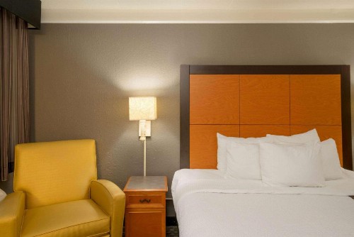 La Quinta Inn by Wyndham Nashville South - image 6