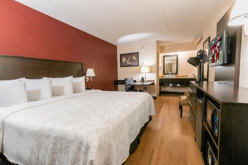 Red Roof Inn PLUS+ Nashville Fairgrounds - image 12