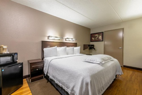 Red Roof Inn PLUS+ Nashville Airport - image 26