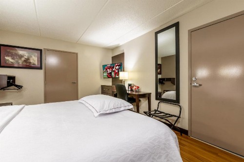 Red Roof Inn PLUS+ Nashville Airport - image 27