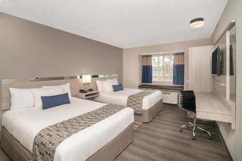 Microtel Inn & Suites by Wyndham Nashville - image 4