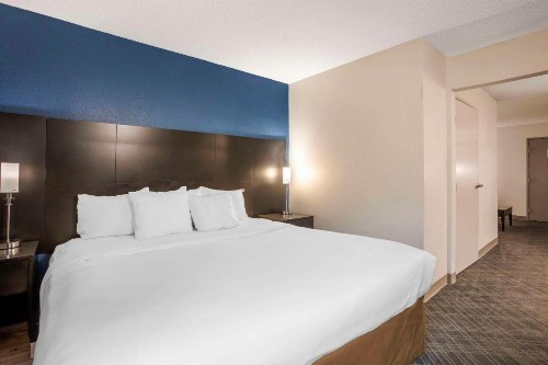 Comfort Suites Airport Nashville - image 23