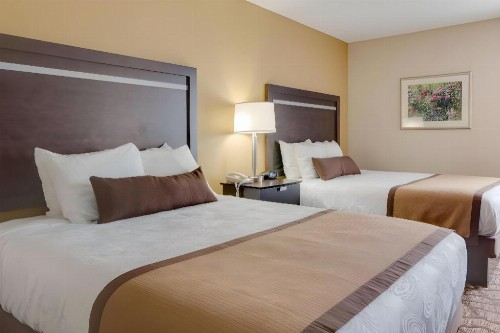 Best Western Plus Belle Meade Inn & Suites - image 49