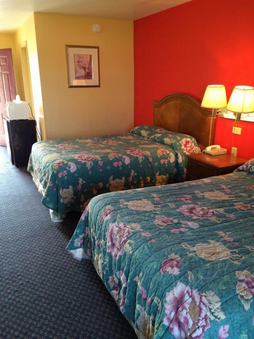 Scottish Inn - Nashville - image 15
