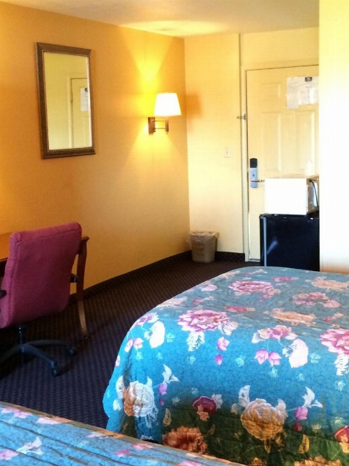 Scottish Inn - Nashville - image 25