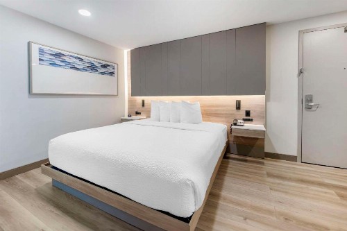The Capitol Hotel Downtown Ascend Hotel Collection - image 13