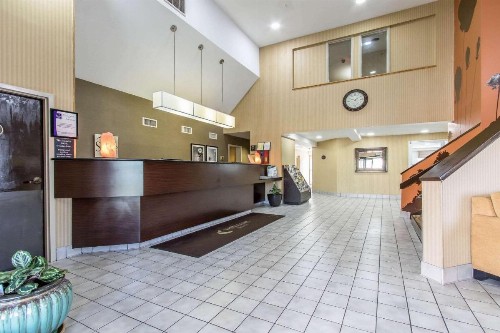 Sleep Inn - image 5