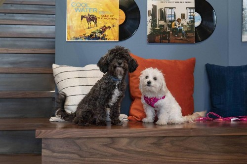 Moxy Nashville Vanderbilt Area - image 31
