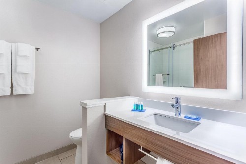 Holiday Inn Express & Suites - Nashville MetroCenter Downtown an IHG Hotel - image 27