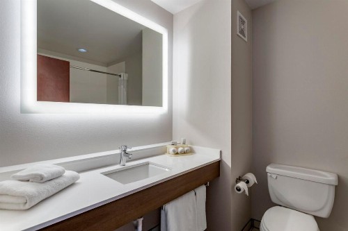 Holiday Inn Express Hotel and Suites Natchitoches an IHG Hotel - image 30