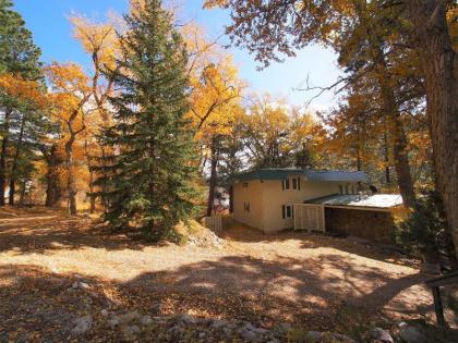 On Splendid Pond cabin