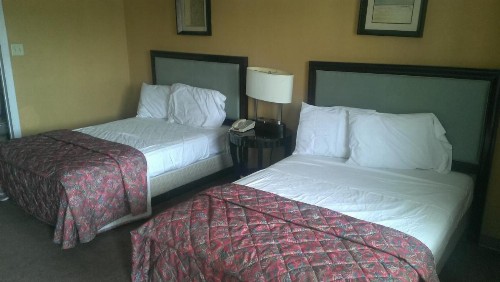 Naugatuck Motor Lodge - image 10