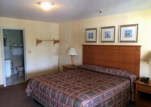 Naugatuck Motor Lodge - image 7