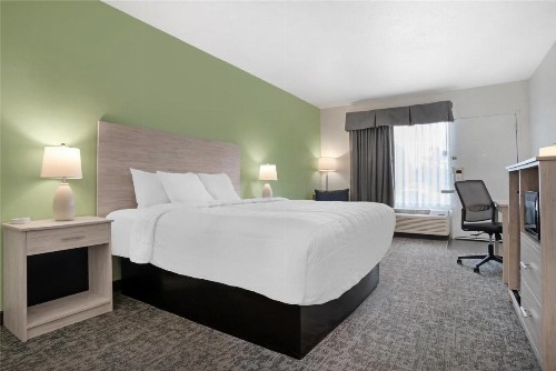 Best Western Navarre Waterfront - image 3