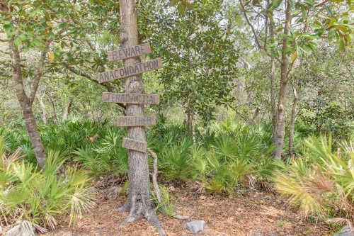 Navarre Gulf Stunner - image 4