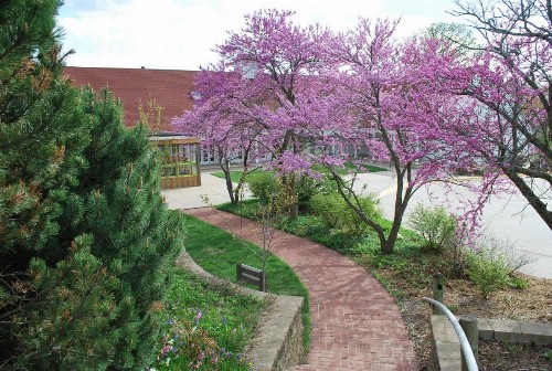 Lied Lodge & Conference Center - image 12