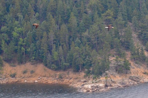 Timberline Haus Home - image 24