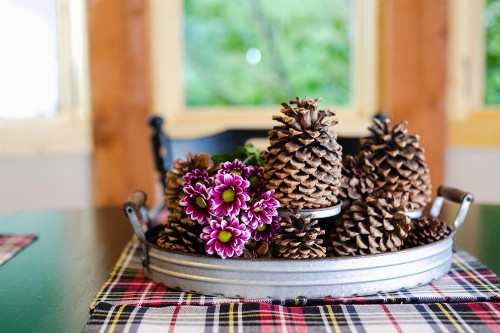 Nederland Getaway Home - image 12