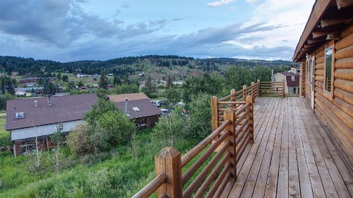 Nederland Getaway Home - image 41
