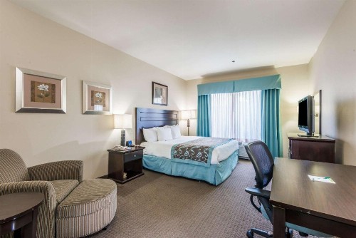 Wingate by Wyndham New Braunfels - image 7