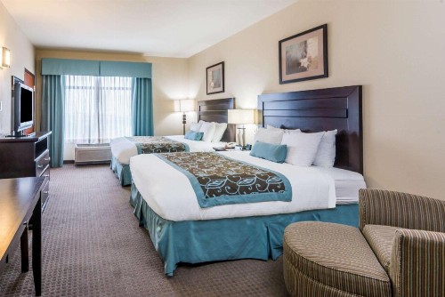 Wingate by Wyndham New Braunfels - image 8