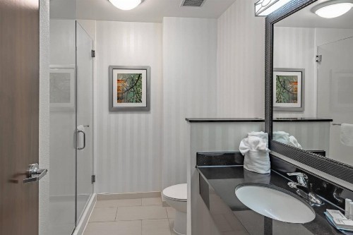 Fairfield Inn & Suites by Marriott New Braunfels - image 2