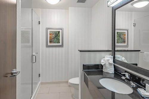 Fairfield Inn & Suites by Marriott New Braunfels - image 9