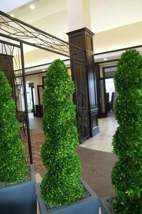 Hilton Garden Inn New Braunfels - image 5