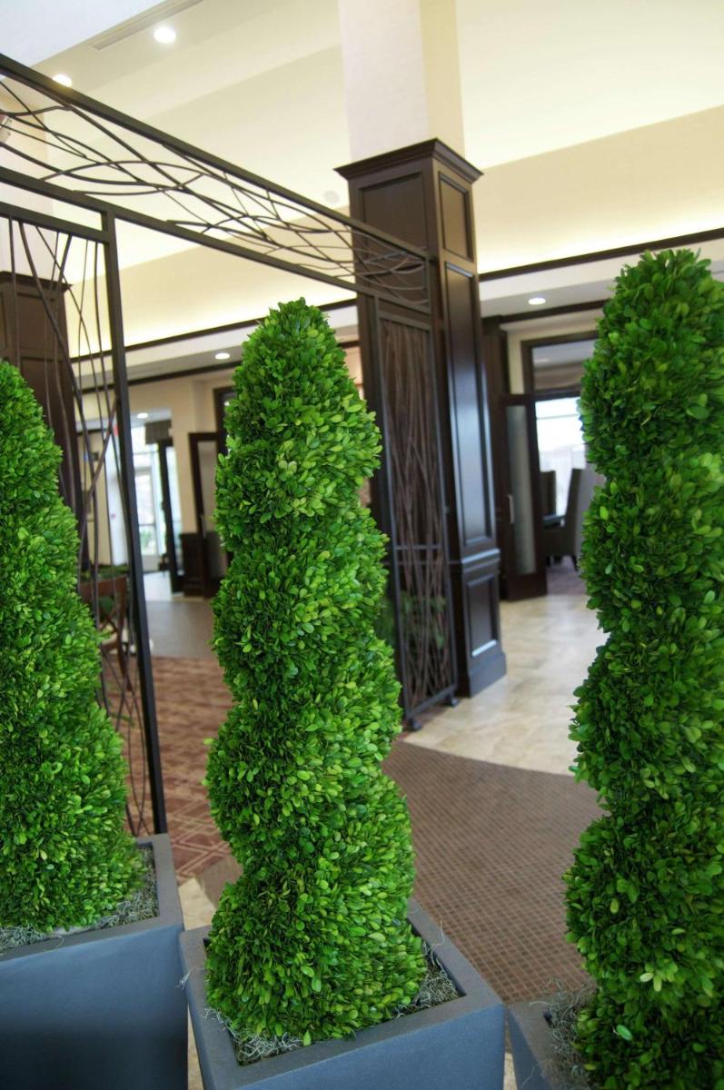 Hilton Garden Inn New Braunfels - image 5