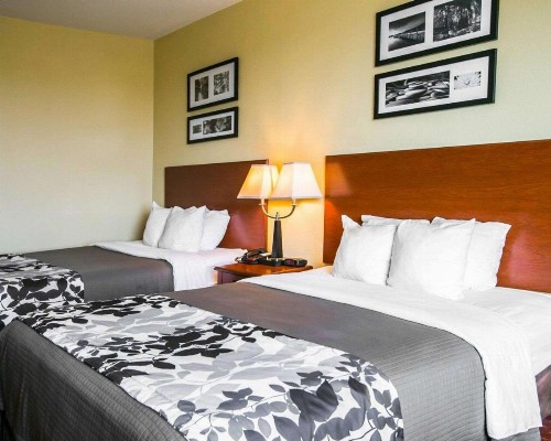 Sleep Inn and Suites New Braunfels - image 3