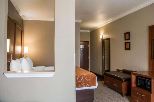 Comfort Suites New Braunfels - image 11