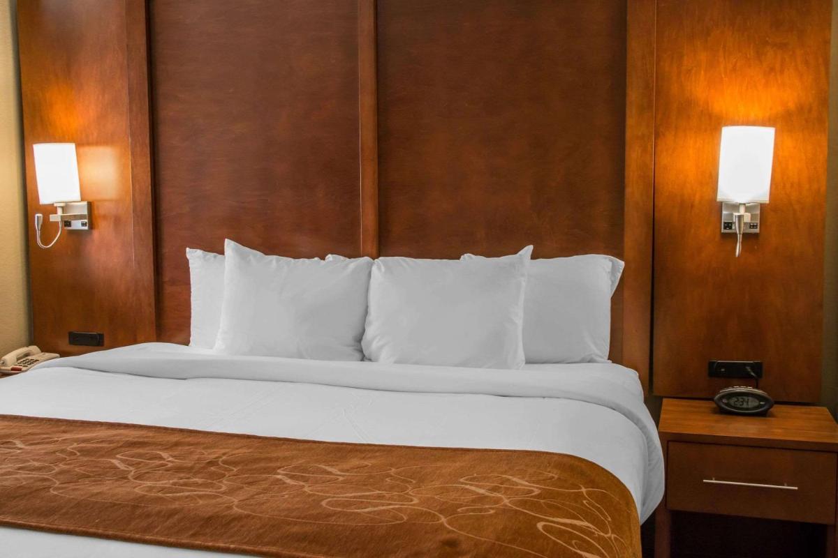 Comfort Suites New Braunfels - image 2