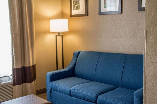Comfort Suites New Braunfels - image 27
