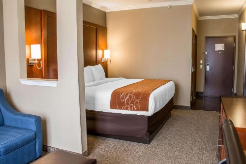 Comfort Suites New Braunfels - image 29