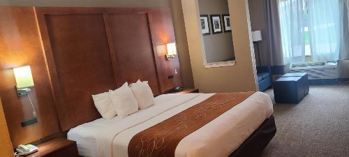 Comfort Suites New Braunfels - image 33