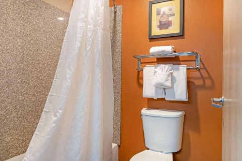 Best Western Inn & Suites - image 12