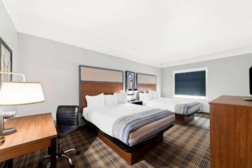 Econo Lodge Inn & Suites New Braunfels - image 14